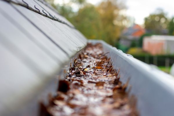 Commercial Gutter Cleaning in Sylvania