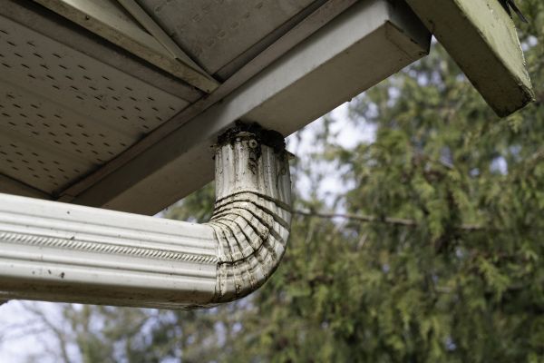 Downspout Cleaning in Sylvania