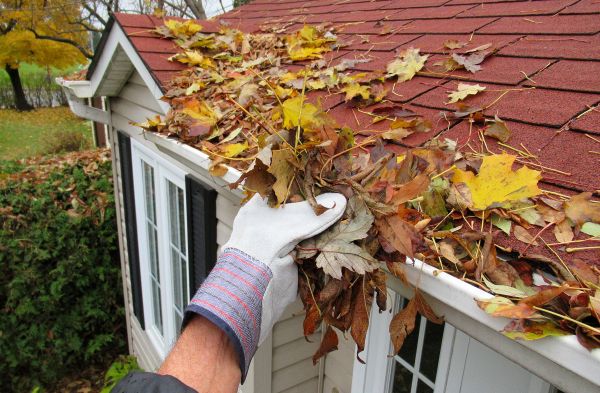 Rain Gutter Cleaning Service in Sylvania