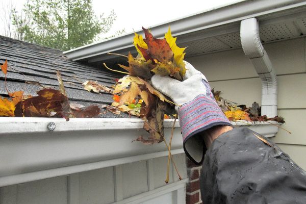 House Gutter Cleaning in Sylvania