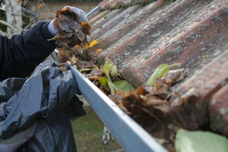 Gutter Leaves Removal detail