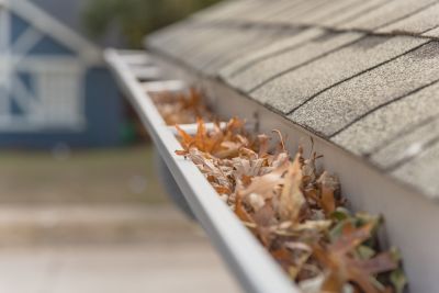 Clogged Gutter Debris