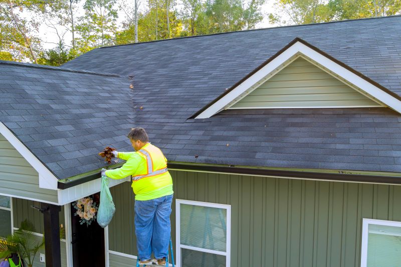 Safety During Gutter Cleaning