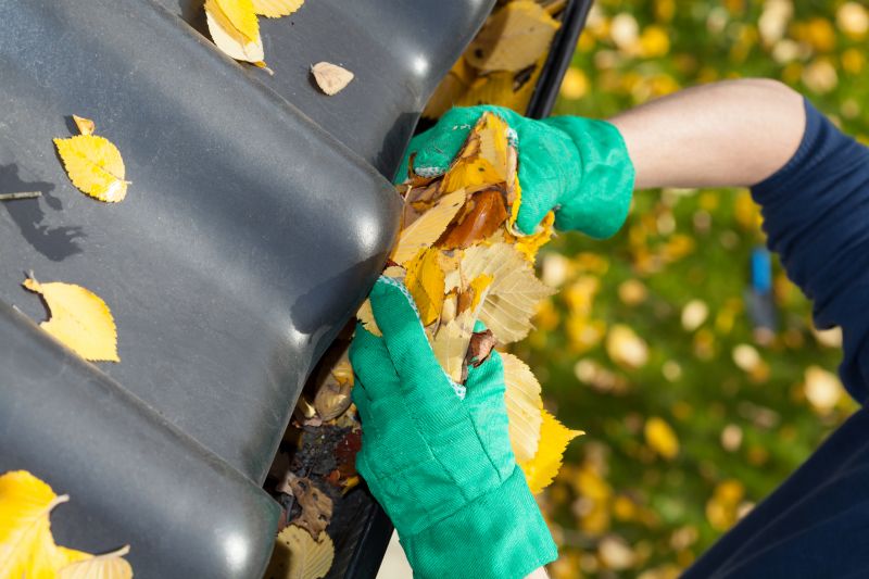 Gutter Leaf Clearing