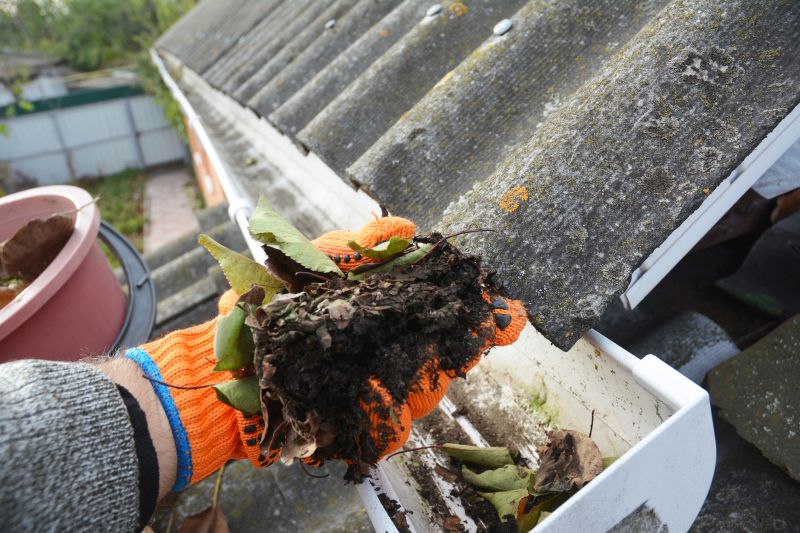 Roof Gutter Debris Removal